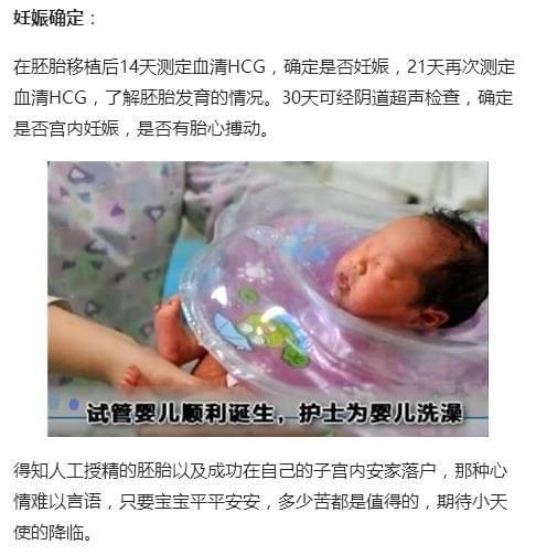 不育抗体全套