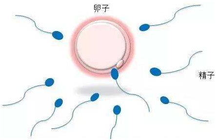 未成年人