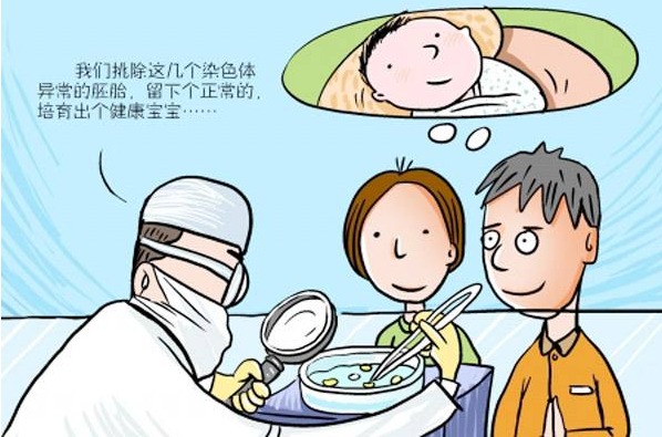 不育抗体阴性