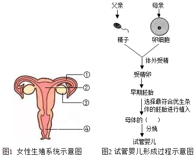 不育症