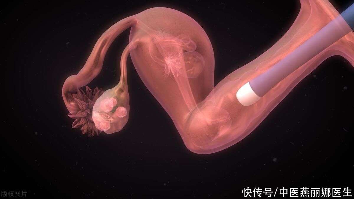 易孕期
