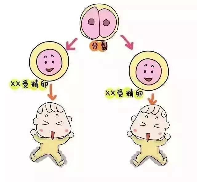 下体擦拭有血