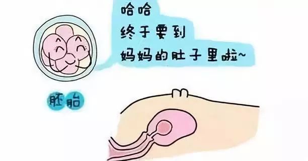 新生儿护理