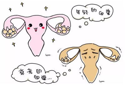 不小心经期同房