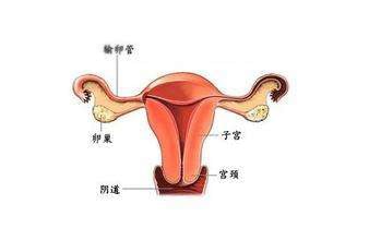 不孕不育