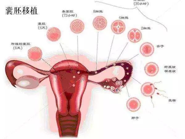 不到月经期间少量出血