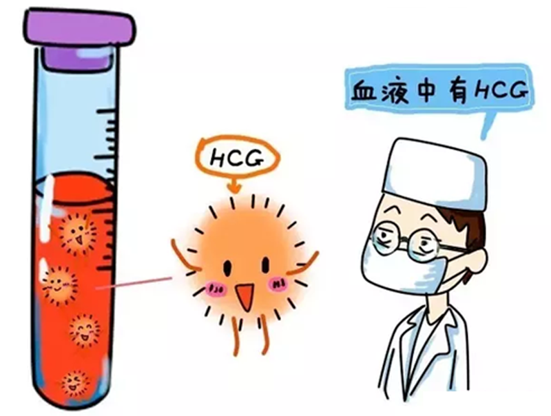 生育能力差