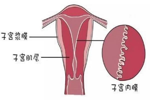 不小心经期同房