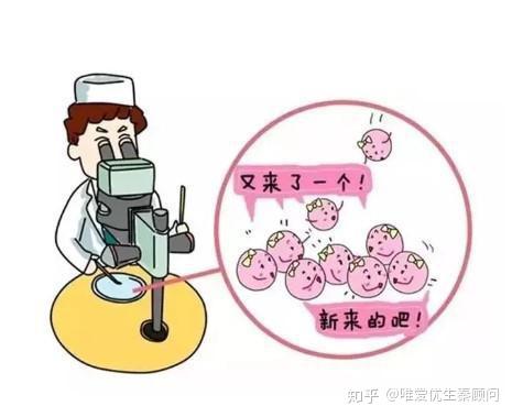 临沂双胞胎试管婴儿