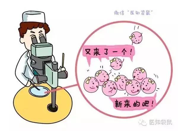 临沂试管婴儿