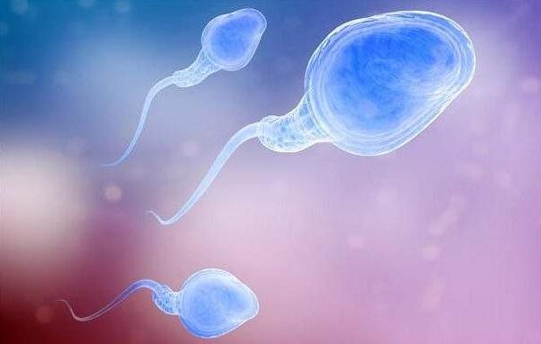 临沂生殖中心