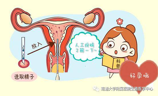 南阳捐卵补偿