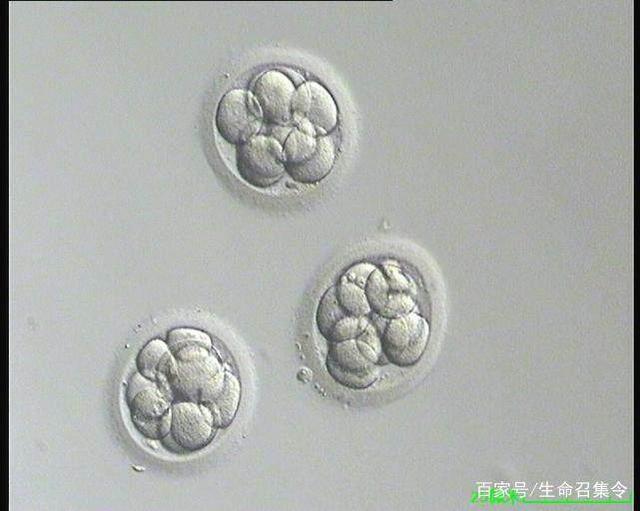 南平市延平区早教机构