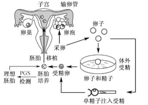 南阳捐卵机构公司