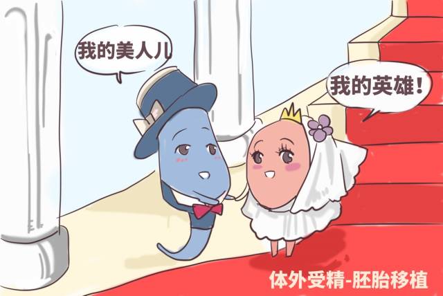 南阳捐卵公司电话