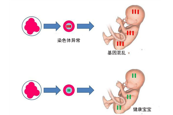 精子捐献
