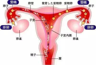 南平